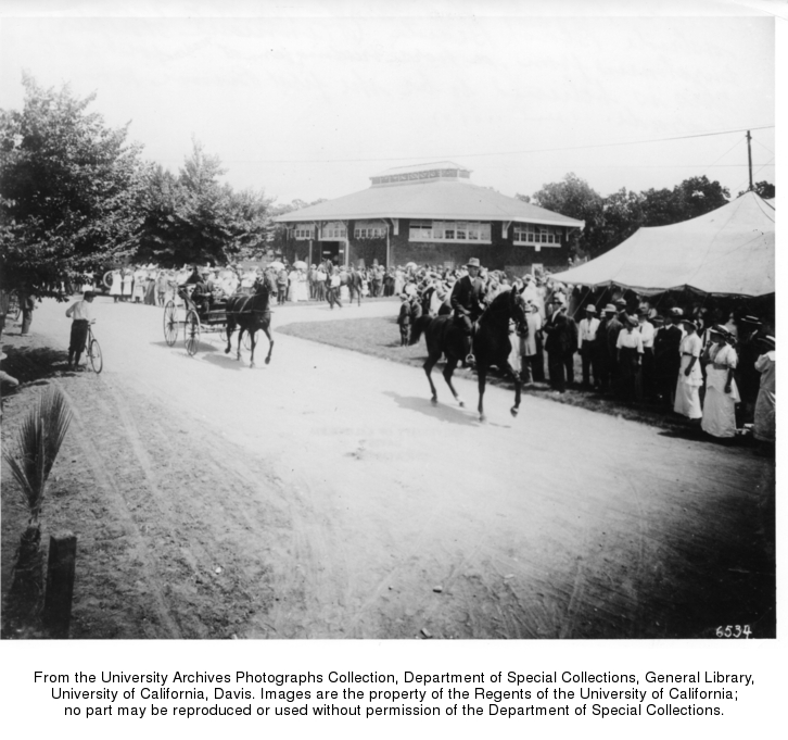 Horses walk the parade, 1913