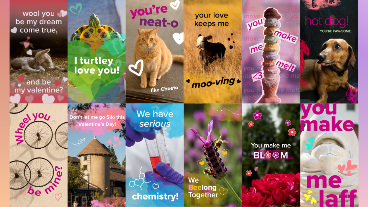 Decorative image with the valentine card designs